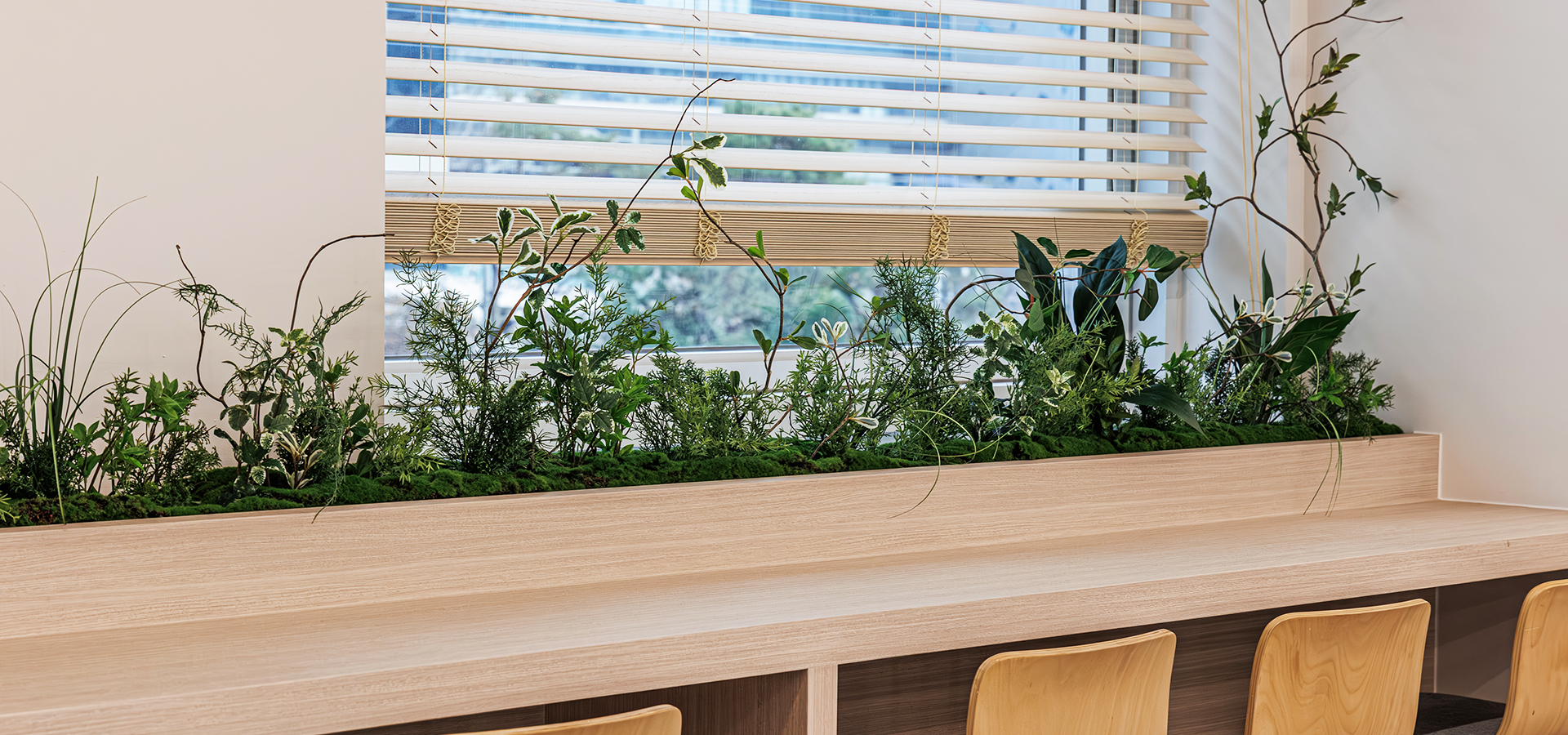 슬라이드 이미지